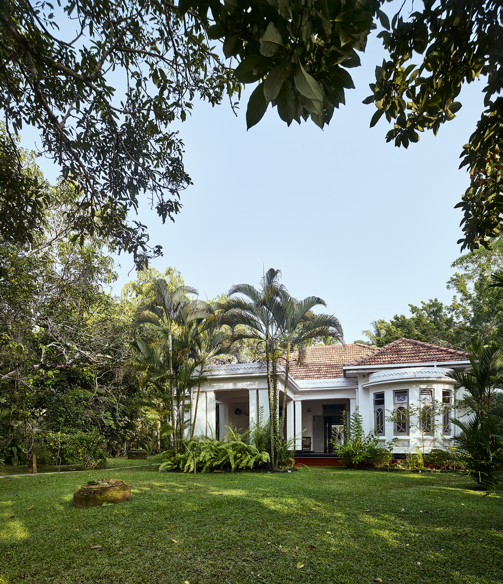 E16583 Alpa 055405p SCREEN